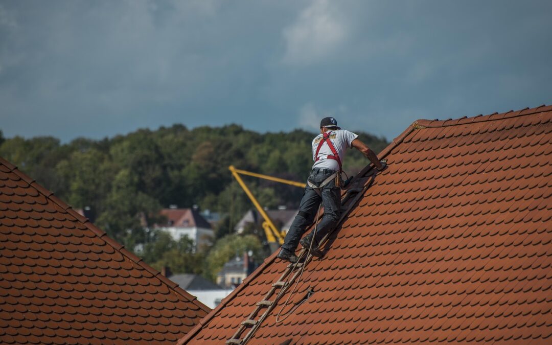 Få en ekspert til at tjekke dit tag – gratis!